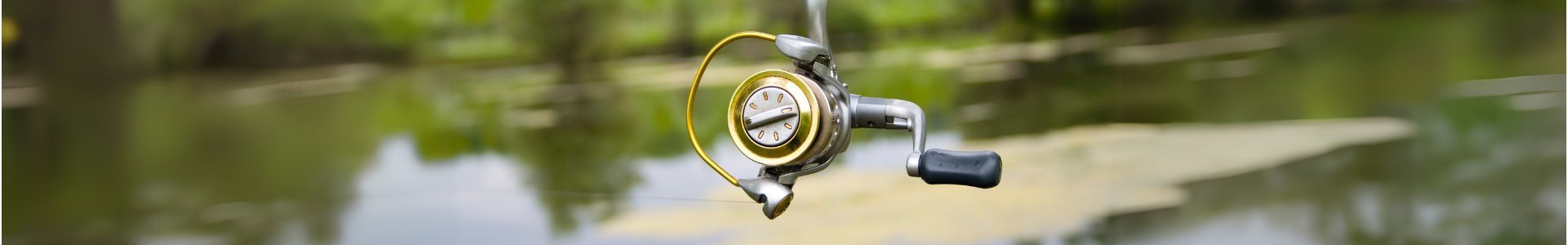 Fishing Reels
