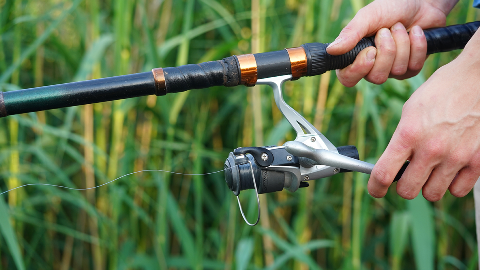 Fishing Rod