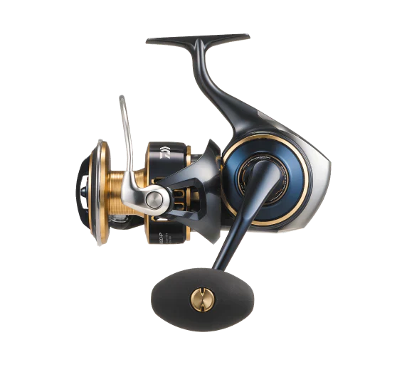 Daiwa 25 Saltiga