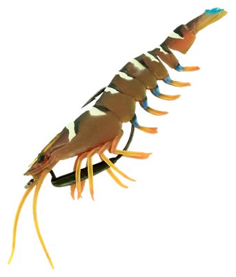 THE FLICK PRAWN