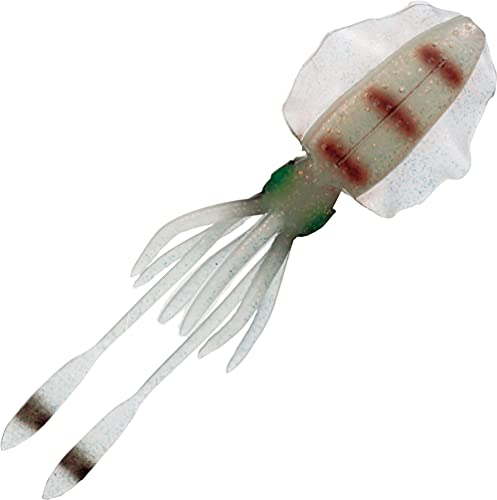 (VICEO) REAL BAIT SQUID