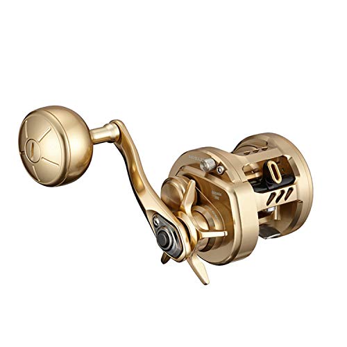 DAIWA BASARA 2021