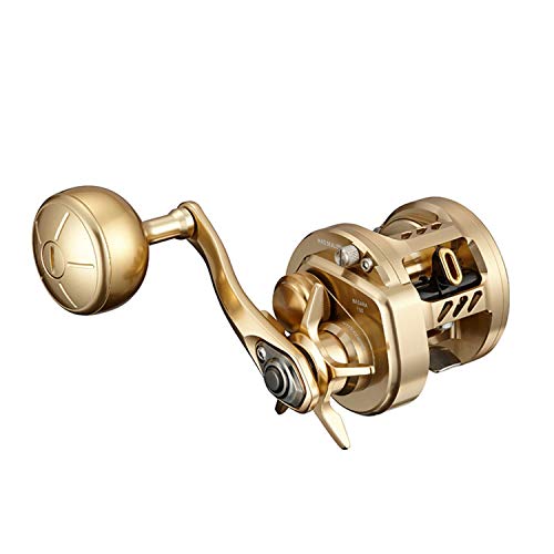 DAIWA BASARA 2021