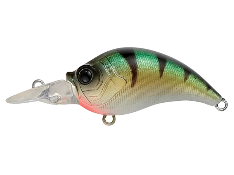 CRAZEE CRANK BAIT 50MM