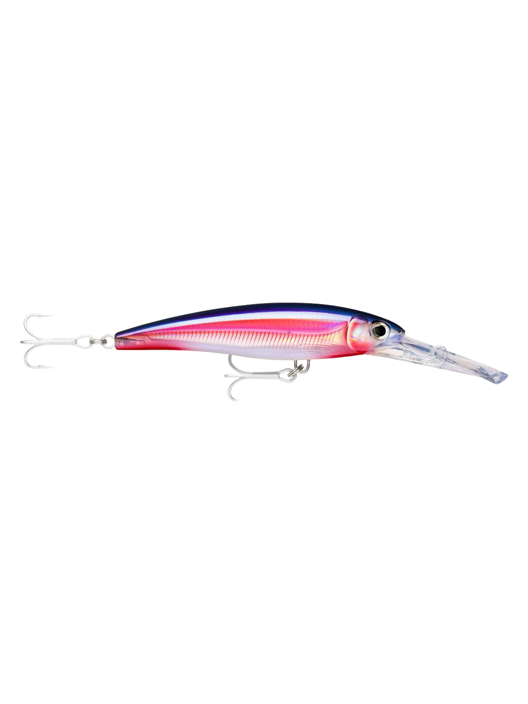 X-Rap Magnum 20'