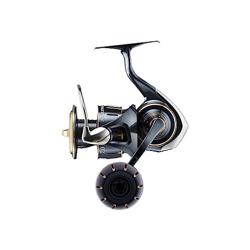 Daiwa 23 SALTIGA