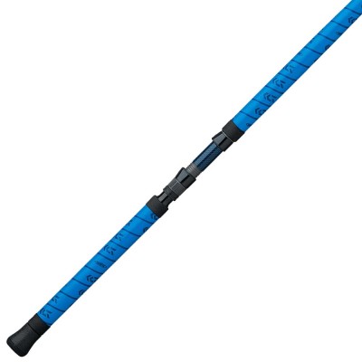 DAIWA PROTEUS WN