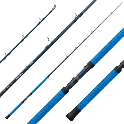 DAIWA PROTEUS WN