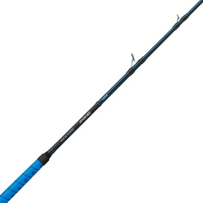 DAIWA PROTEUS WN