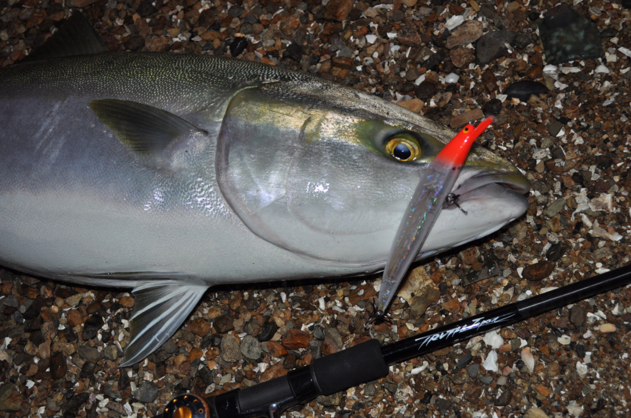 Permission 97SMH (SeaBass Spinning Model)
