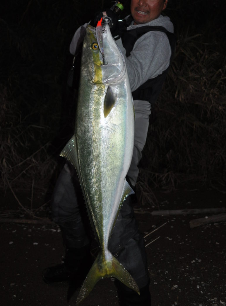 Permission 97SMH (SeaBass Spinning Model)