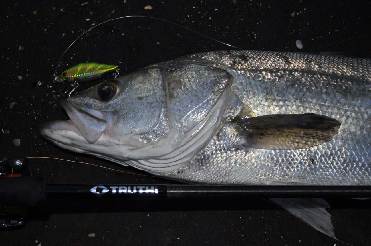 Permission 97SMH (SeaBass Spinning Model)