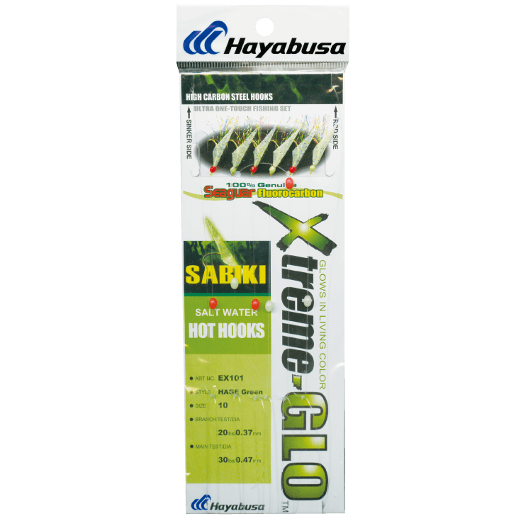 HAYABUSA EX101