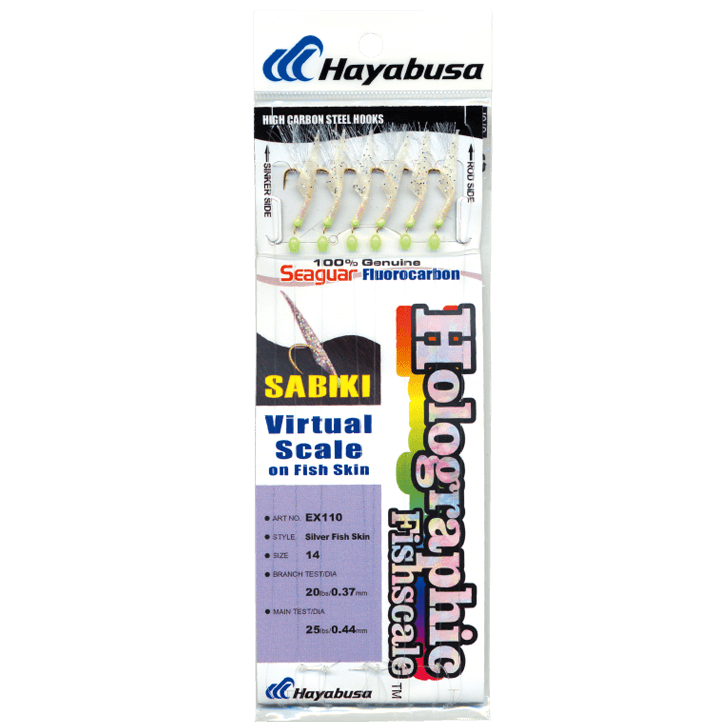 HAYABUSA EX110