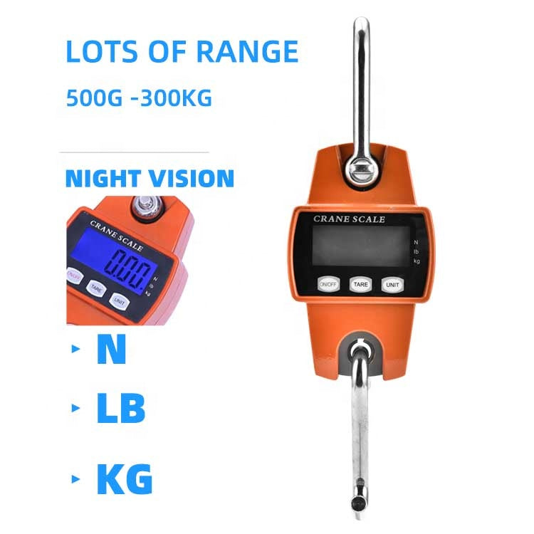 CRANE SCALE 300KG