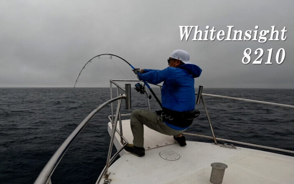 WhiteInsight