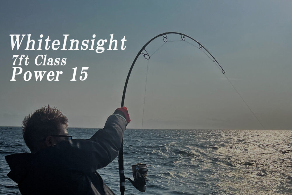 WhiteInsight