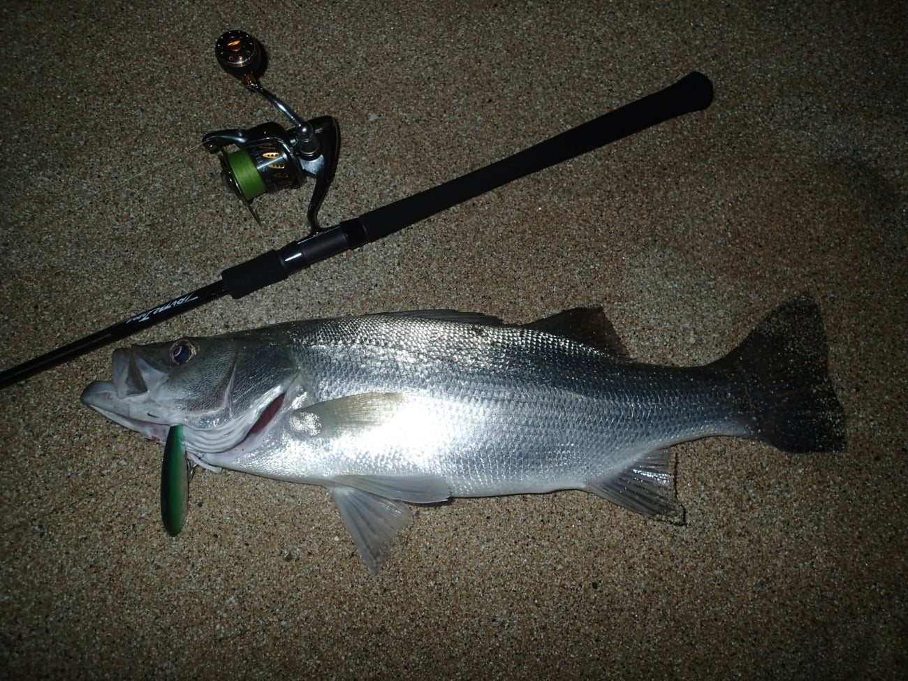Permission 97SMH (SeaBass Spinning Model)