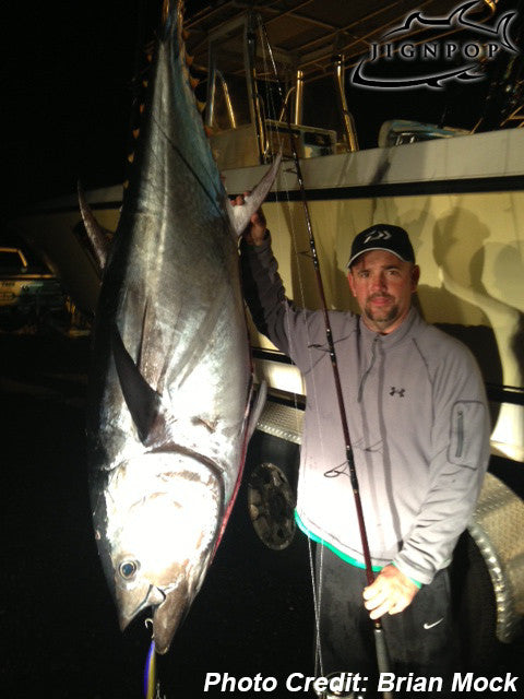 Black Hole 7'4" Cow Special II 75 Popping Spinning Rod