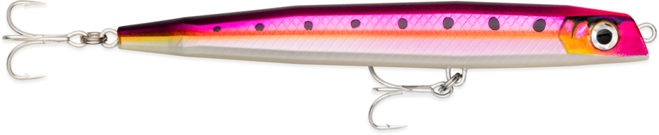 Flash-X Dart